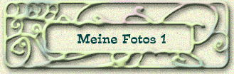 Meine Fotos 1