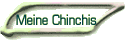 Meine Chinchis