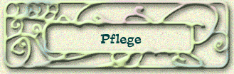 Pflege