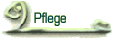 Pflege